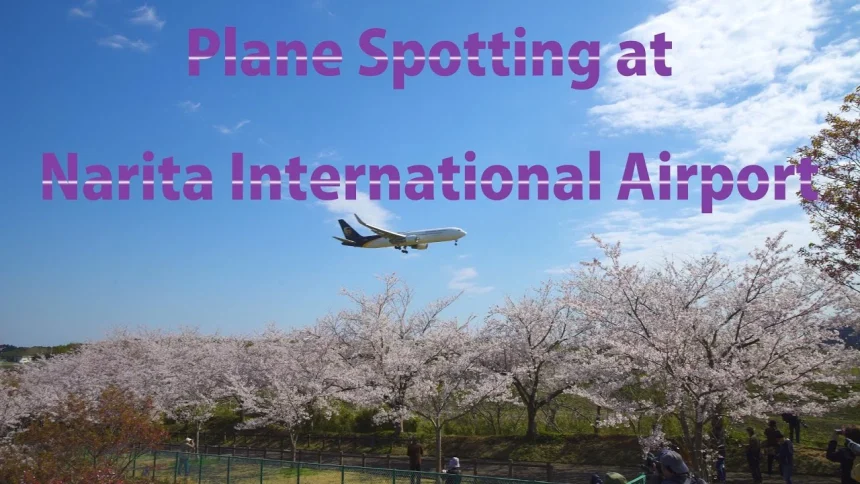 成田国際空港 さくらの山公園の風景と飛行機の離着陸 | 千葉県成田市