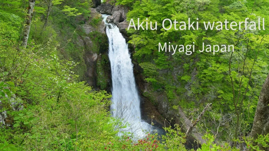 新緑が美しい秋保大滝の風景と滝の音 | 宮城県仙台市