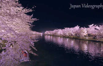 日本一の春の絶景 弘前公園の美しい桜 | 青森県弘前市