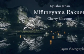 御船山楽園 花まつり 九州最大の夜桜ライトアップ | 佐賀県武雄市