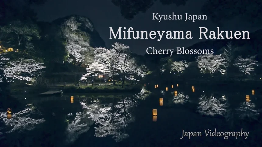 御船山楽園 花まつり 九州最大の夜桜ライトアップ | 佐賀県武雄市