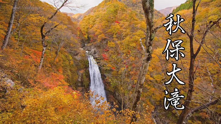 日本の滝百選 秋保大滝の紅葉 宮城県の秋の風景