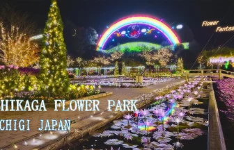 日本三大イルミネーション あしかがフラワーパーク 光の花の庭 2020 | 栃木県足利市