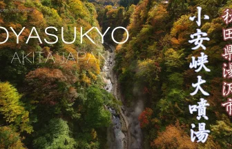 小安峡大噴湯の紅葉 秋田県湯沢市小安峡温泉の風景