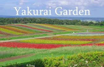 虹色のお花畑が美しい やくらいガーデンの絶景 | 宮城県加美町