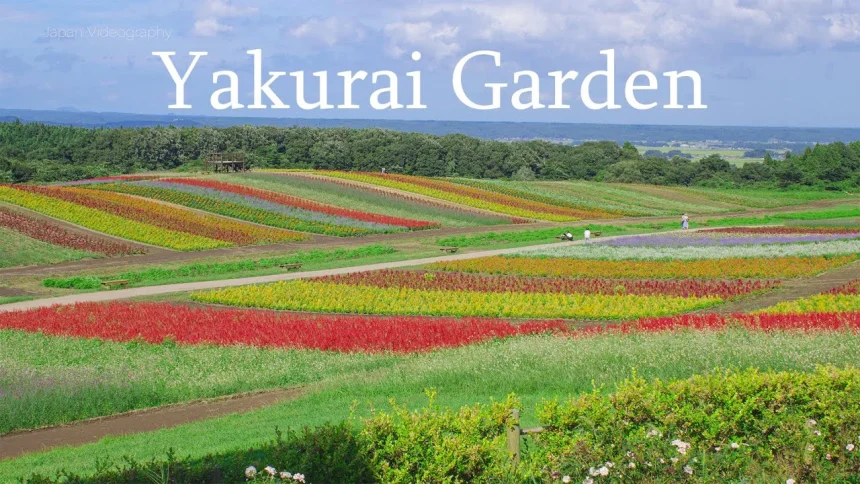 虹色のお花畑が美しい やくらいガーデンの絶景 | 宮城県加美町