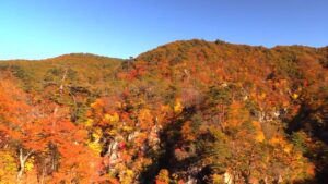 東北の秋の風景 宮城県の観光名所 鳴子峡の美しい紅葉