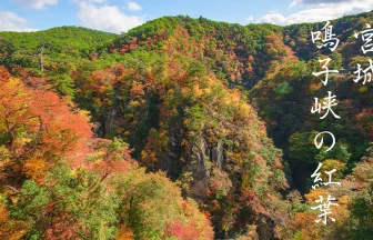 秋の東北観光・鳴子峡の紅葉 | 宮城県大崎市