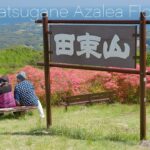 Azalea Flower Mountain of Minami-sanriku Mt. Tatsugane | Minamisanriku, Miyagi Japan