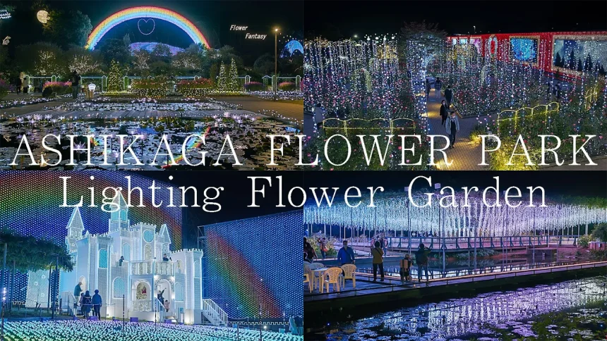 あしかがフラワーパーク Flower Fantasy 光の花の庭 2022-2023