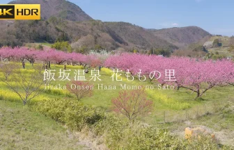 【4K HDR】飯坂温泉の桃源郷 花ももの里 満開の花々が彩る風景のサムネイル画像
