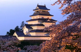 会津若松城 鶴ヶ城の夜桜ライトアップ