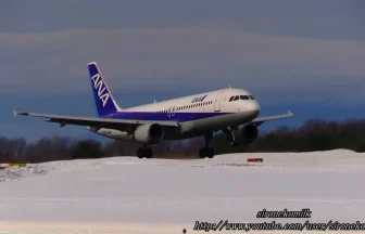 冬の秋田空港 ANA 全日本空輸のエアバスA320-200の着陸