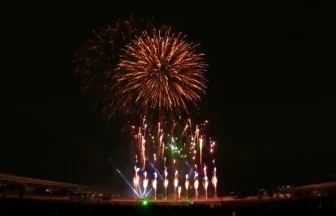 2012年 舎人公園 千本桜まつり春の花火大会