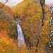 日本の滝百選 秋保大滝の紅葉 宮城県の秋の風景